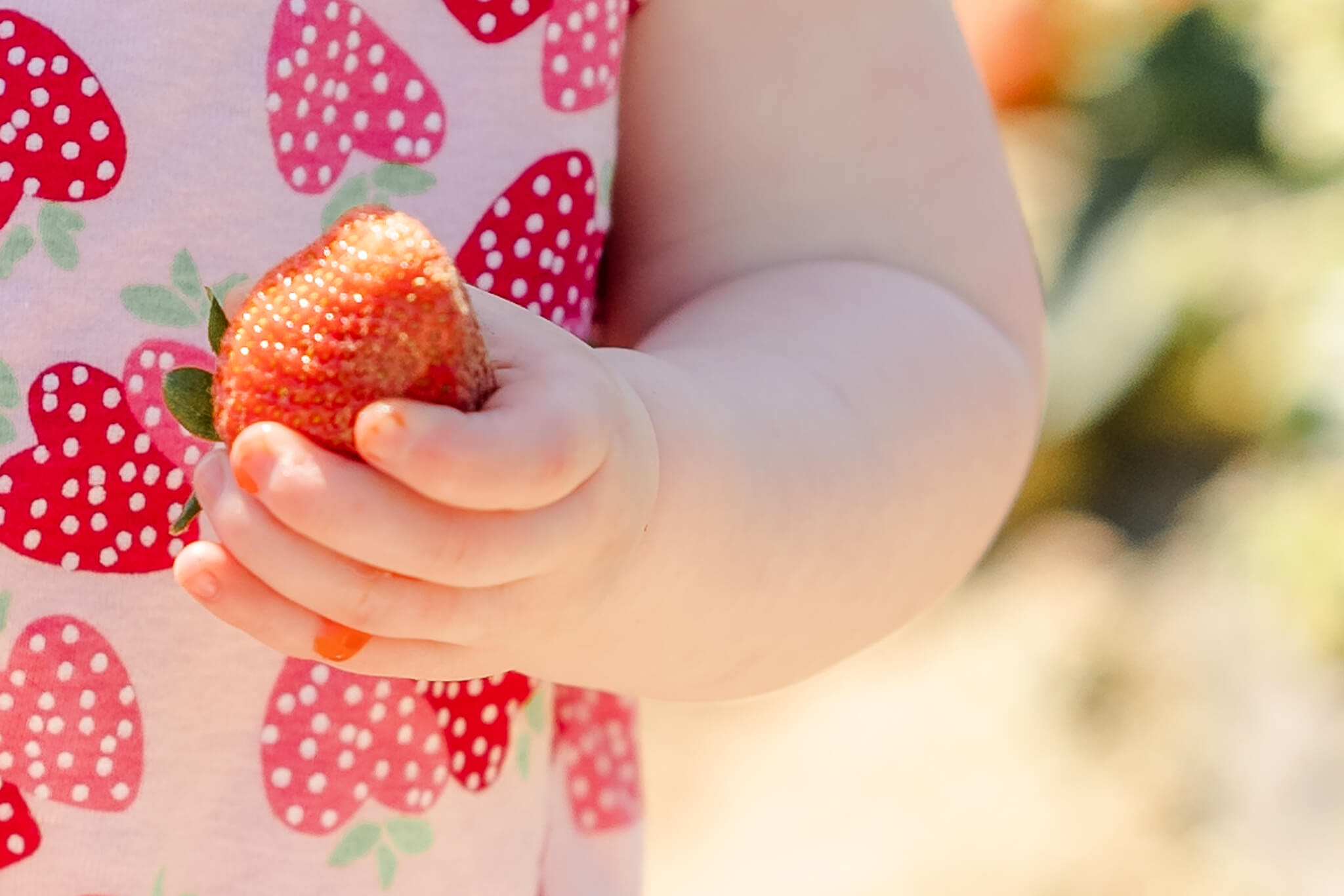 A close up of a strawberry being held by a toddler who has been picking strawberries in Chesapeake, VA.