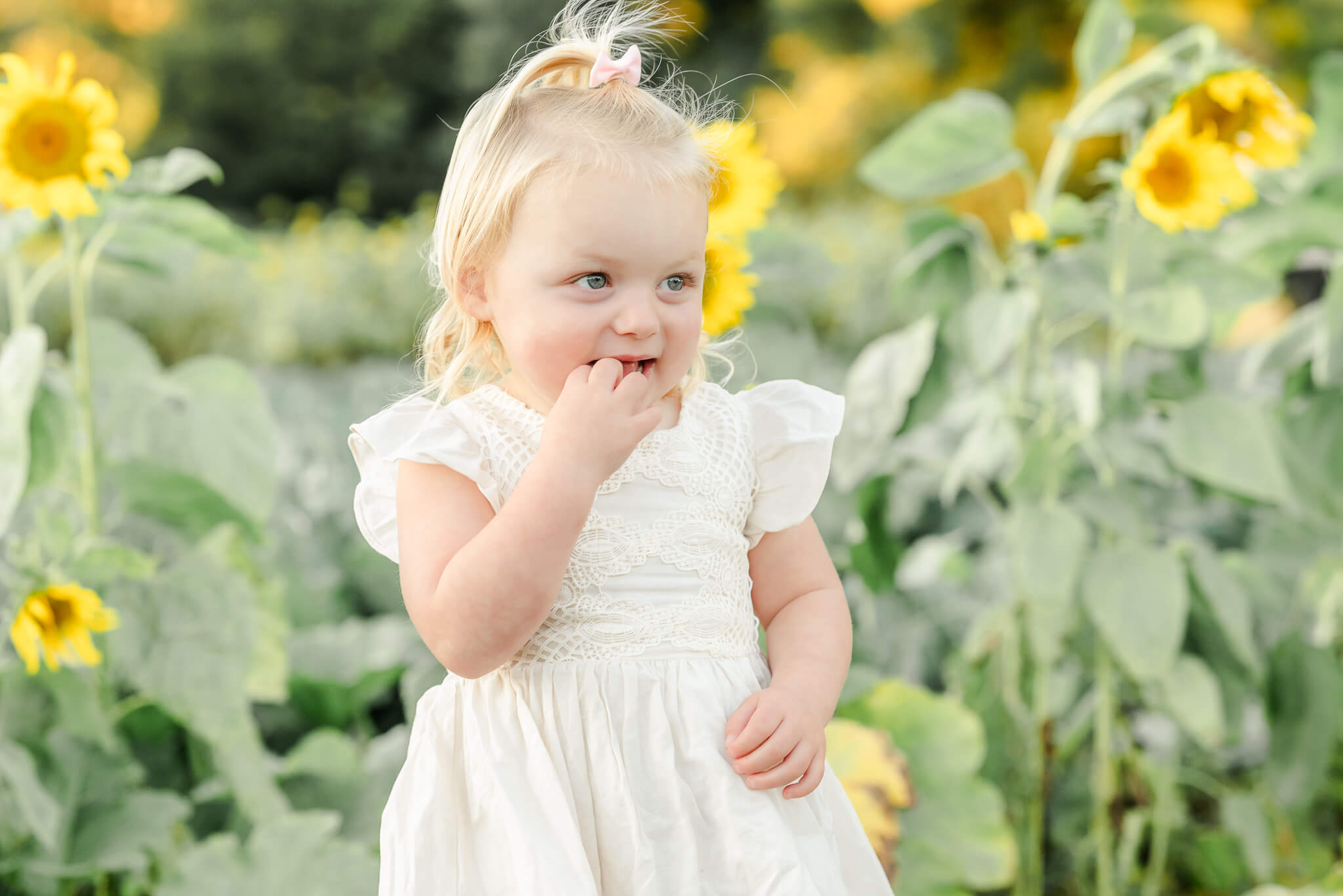 A toddler girl wears a white dress. She has blond hair that is up in a ponytail. She is standing in a sunflower field in Virginia Beach.