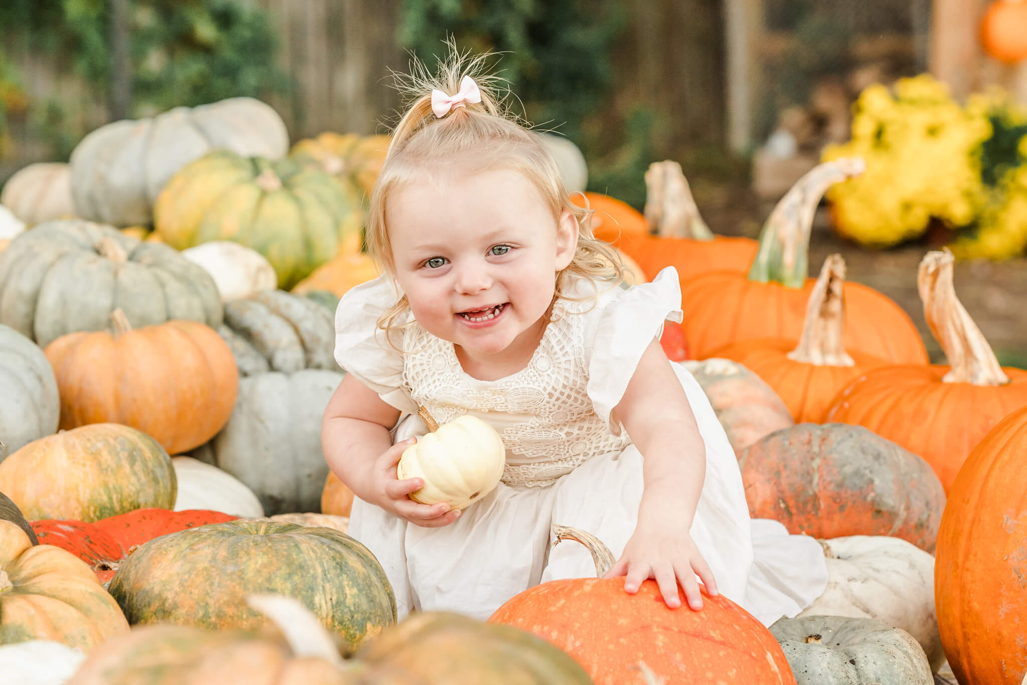 A blond toddler in a white dress and cowgirl boots crouches in a pile of pumpkins. She is having fall photos taken at one of these featured Chesapeake pumpkin patches.